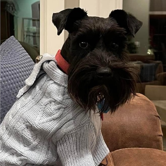 💖💎💖💎 LIVE SHOW QUICK LIST 💖💎💖💎 - Picture 2 of 2